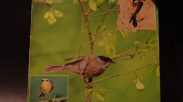 Ungarn Vogelstimmen-LP