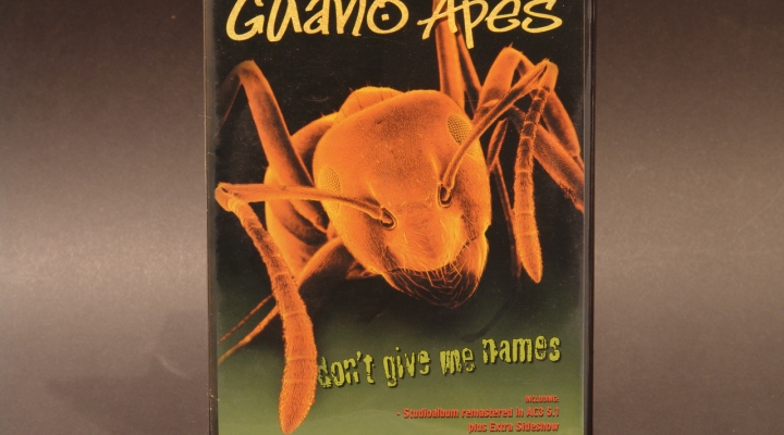 Guano Apes-Don't Give Me Names DVD